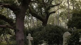 Churchyard AURORACover By TATIANA PELLEGRINI [upl. by Farrica]