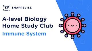 Home Study Club Alevel Biology  Immune System [upl. by Chas]