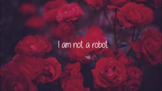 I Am Not A Robot  Marina And The Diamonds  Lyrics [upl. by Ener]