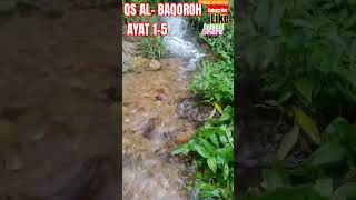 Surat AL Baqoroh ayat 15alquranyoutubeshortsfeedshortsBACA DISKRIPSIkebuntehgreenteapetani [upl. by Viddah]