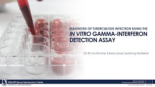 Diagnosis of Tuberculosis Infection using the In Vitro GammaInterferon detection Assay [upl. by Rramal826]