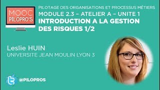 Introduction à la gestion des risques 12 [upl. by Arutek]