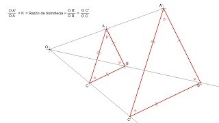 Homotecia  Definición y propiedades [upl. by Eidolem361]