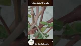 Likoria Ka Ilaj In Urdu  Vaginal Discharge  Dr Fahim Herbalist [upl. by Shah]