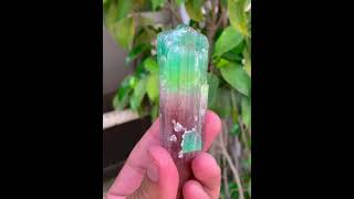 Bicolor TourmalineCrystal  PaprokTourmaline  TourmalineGemstone  FineMineral [upl. by Nnaylrebmik]