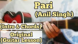 Pari  Anil Singh  Guitar Lesson  Intro amp Chords  With Tab [upl. by Lemmor707]