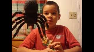 Giant Spider Attacks Kids [upl. by Consolata]