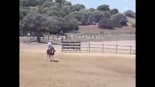 Antonio Domecq at A Campo Abierto  Country Riding Demonstration [upl. by Iman305]