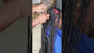 Pro Tips for Interlocking Voluminous Locs LocCare InterlockingTips locs locdown hairstyles [upl. by Hamfurd]