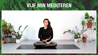 5 min mediteren om je gedachten te sussen [upl. by Ahtreb]