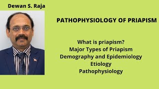 PATHOPHYSIOLOGY OF PRIAPISM [upl. by Silvia]