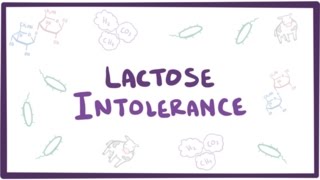 Lactose intolerance  causes symptoms diagnosis treatment amp pathology [upl. by Cristiona]