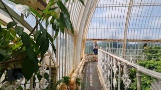 Palm House at Kew Gardens walking tour London July 2024 [upl. by Lewert]