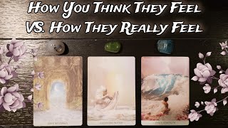 🥰❤ How You Think They Feel VS How They Really Feel Towards You 💋❤ Pick A Card Love Reading [upl. by Axe282]