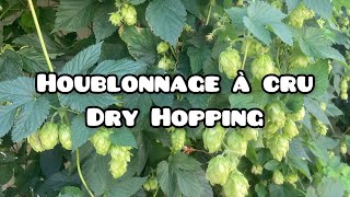 Comment réussir son houblonnage à cru dry hopping [upl. by Llirrem]