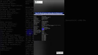 How To Check System Information in Windows10 shorts check system [upl. by Casilde895]