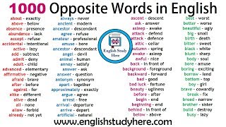 1000 Opposite Words in English  Antonym Words List  Common Opposites [upl. by Gilly686]