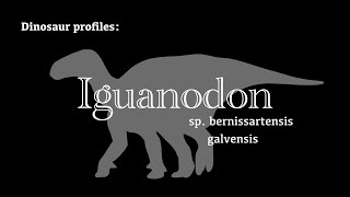 Dinosaur Profile Iguanodon [upl. by Nugesulo782]