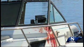 Breaching whale capsizes boat in Monterey Bay [upl. by Cristy]