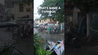 WHATS NAME A TYPHOON [upl. by Evod]