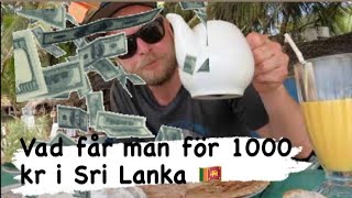 VAD FÅR MAN FÖR 1000 SVENSKA KRONOR I SRI LANKA 🇱🇰 [upl. by Potter873]