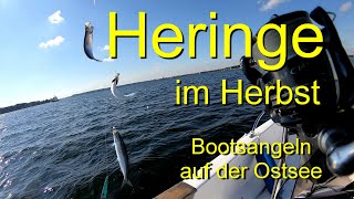 Heringe im Herbst Bootsangeln auf der Ostsee quotTippsquot wie ICH es mache [upl. by Jenkins]