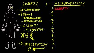 Neuropathology [upl. by Petey]