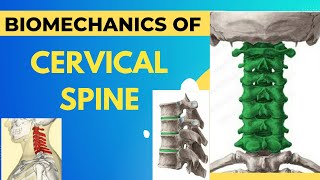 Biomechanics of Cervical Spine with notes in detail explanation [upl. by Enelrak898]