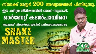 VAVA SURESH SNAKE MASTER EPI 200 SPECIAL  Ornate Sea Snake  Snake Master 03102016  Kaumudy TV [upl. by Eisinger181]