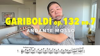 Gariboldi Flute Etude Op 132 No 7 quotAndante mossoquot [upl. by Vas466]