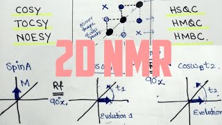 2DNMR WorkingCorrelation SpectroscopyCOSYNOESY MajidAli2020 [upl. by Ynahteb]