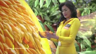 Minute Maid Pulpy Orange  Perjalanan Peri Bulir [upl. by Hoban]