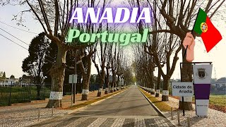 Anadia Portugal 🇵🇹  Conhecendo um pouco mais essa Cidade Portuguesa 🇵🇹 [upl. by Nameerf]