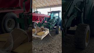 Cheap seed corn Will it yield  farming corn reels shorts [upl. by Chemar682]