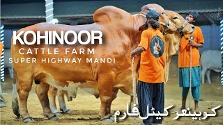 Cattle Farm Super Highway  Cow Mandi Karachi 2023  Cattle Market  Expedition Pakistan [upl. by Inah]