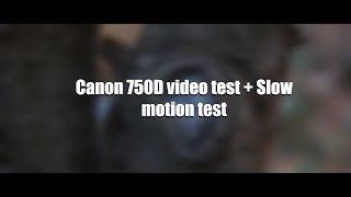 Canon 750D with 50mm f18 Video test  Slow motion test [upl. by Ahsinaj]