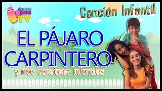 🐦 EL PÁJARO CARPINTERO 🐦 Y MÁS CANCIONES PARA NIÑOS [upl. by Emiline660]