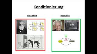 Klassische und operante Konditionierung erklärt [upl. by Ierdna967]