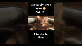 After all this the rat thinks of revenge Part  2  shorts movieexplainedinhindi [upl. by Nollat913]