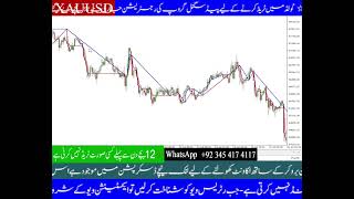 MT4 Trading Indicator Section Trend 315 [upl. by Shawna]