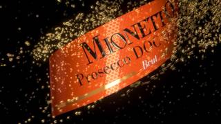 Mionetto Prosecco Commercial 2015 [upl. by Tra]