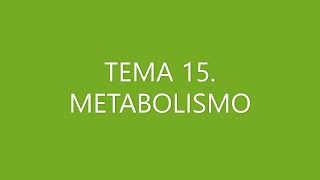 BIOLOGÍA SELECTIVIDAD METABOLISMO [upl. by Blackstock]