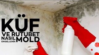 küf ve rutubet nasıl önlenir mold wall insulation [upl. by Phebe]