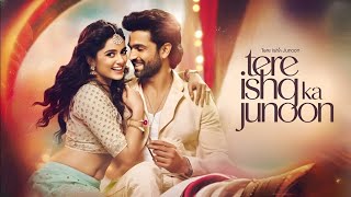 B Tere Ishq ka Junoon 2  Full Audio Song  Hindi Song 2024  New Romantic Song [upl. by Inattirb595]