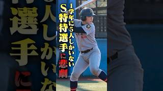 仙台育英のS特待選手に起きた悲劇。顔面に自打球で… 野球 仙台育英 明治大学 準硬式 [upl. by Omero]