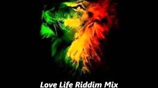 Love Life Riddim Mix September 2011 Megamix One Riddim Roots Reggae [upl. by Eldreeda]