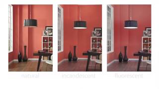 Color amp Light  SherwinWilliams [upl. by Akialam]