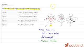 Which of the following represent zygomorphic symmetry [upl. by Chrisoula]