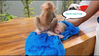 3day All Video  Adorable and intelligent baby that is growing up quickly [upl. by Adar]