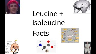 Some Super Quick Facts About Leucine and Isoleucine [upl. by Bianchi918]